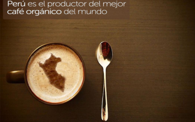 Café de especialidad: Un viaje por las regiones cafetaleras del Perú